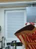宜家（IKEA）SCHOTTIS胡提斯卷帘遮光升降手拉白色深灰色现代简约 白色90x190cm 实拍图