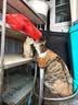 凯锐思银爪P28高蛋白全价猫粮亲和肠胃鲜肉冻干双拼成猫粮 【护胃美毛】鸡肉味40斤 实拍图