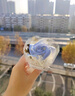 京东鲜花见面口袋花迷你小花束香皂花生日儿童节礼物送女友闺蜜老婆永生花 实拍图