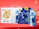 蒙牛真果粒蓝莓味牛奶饮品250g*12盒 礼盒新老包装 含乳饮料端午礼盒 实拍图