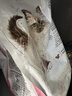 皇家幼猫猫粮 幼猫奶糕 K36 通用粮 4-12月 4.5KG 实拍图