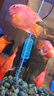 森森鱼缸变频加热棒适用400-600L水 离水断电加热器 ARK-1000J款1000W 实拍图