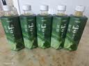 别样泡泡加倍厚抹生茶乳千目抹茶拿铁绿茶奶茶饮料500ml*6瓶 整箱 实拍图