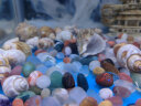 朴彩（PUCAI）南京雨花石原石天然石子鱼缸石头花盆彩色石子玛瑙鹅卵石 精品雨花石0.6-0.9厘米1斤 实拍图