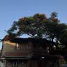 Tagi.边边帆布袋高密度春夏单肩包斜挎包收纳包出差旅行包袋生日礼物 海盐度假 实拍图