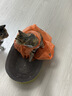 麦富迪猫粮barf霸弗天然猫粮冻干奶糕幼猫粮高蛋白温和养护肠胃牛肉100g 实拍图