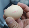 京鲜生【供港品质】【每日鲜蛋】无抗谷物鸡蛋30枚3.78斤当日产蛋当日发 实拍图