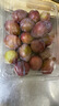 佳沛（zespri）新西兰 金果25-27粒特大单果124-146g 端午礼物水果礼盒 猕猴桃 实拍图