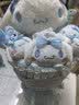 嘉百利毛绒玩具hellokitty玩偶花束公仔毕业礼物生日礼物送老婆女朋友 玉桂狗玩偶花束送礼袋+灯串 中号花束（送小朋友） 实拍图