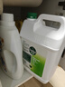 滴露（Dettol）消毒液5L大桶装消毒水家用商用工业车间酒店物业衣物环境消毒杀菌 实拍图