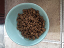 皇家泌尿道处方猫粮MUC34情绪舒缓稀释尿液成猫处方粮配方粮1.5KG*2 实拍图