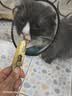 多特思高肉含量全价主食猫条成猫幼猫湿粮小金条混合口味15g*200条 实拍图