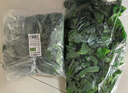 花沃里仿真绿萝叶过胶 仿真花绿植假花装饰年宵花年会婚庆吊顶藤99片5条 实拍图