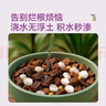 史丹利兰花专用土君子兰蝴蝶兰营养土松树皮泥炭种植盆栽养花土壤10L 实拍图