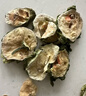 贡苑苦瓜干片250g 冻干锁鲜无添加 花草茶苦瓜茶 泡茶熬夜茶 实拍图