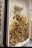美的电火锅鸳鸯锅 钛陶瓷涂层分体式火锅专用锅 不含特氟龙双区独立控温 配煎烤盘 6.5L DLS3322R2 实拍图