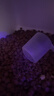 伯纳天纯鸡肉冻干牛肉粒三拼全价狗粮2kg/4斤 实拍图