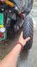 玛吉斯（MAXXIS）轮胎/汽车轮胎 225/65R17 102H HT750 原配哈佛H6 实拍图
