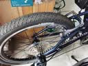 大行（DAHON）折叠自行车20英寸8级变速经典P8单车KBC083 渐变蓝经典版--京仓 实拍图