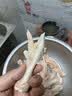 正大鸡爪净重2斤（单个鸡爪约40-50g） 柠檬鸡爪生鲜烧烤 实拍图