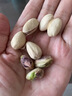 三只松鼠0添加美国特大开心果500g每日坚果炒货无漂白休闲零食团购送礼 实拍图