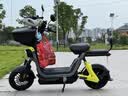 九号（Ninebot）【新国标电自】九号电动Fz1 60电动自行车9号智能电动车【门店自提】 到门店选颜色 实拍图