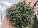 八窨飘雪茶叶绿茶毛尖 2026新茶春茶自己喝大份量口粮茶四川云雾袋装500g 实拍图