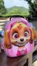 汪汪队立大功（PAW PATROL）幼儿园书包儿童3-6岁女生可爱超轻出行舒适透气双肩包背包防泼水 实拍图