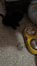 HELLOJOY狗碗狗盆宠物双碗不锈钢猫碗食盆防打翻狗食盆 黄色大号 实拍图