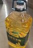 西王 食用油 玉米胚芽油4.06L 非转基因 物理压榨玉米油 实拍图