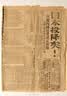 京鲜生泰国进口椰青 9个装 大果单果900g+ 水果 送礼 源头直发包邮  实拍图