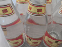 汾酒黄盖玻汾 清香型高度白酒 53度 475mL*12瓶 整箱装 端午节囤货 实拍图