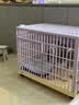 ZEZE狗笼子室内宠物笼狗狗围栏中型犬小型适用家用防逃脱宠物笼子 实拍图