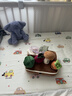 babycare拔萝卜抽拉安抚玩具仿真抽纸撕不烂抽抽乐婴儿玩具满月周岁礼物 实拍图