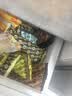 海底捞自热火锅 方便速食免煮速食露营出游零食 麻辣嫩牛火锅435g 实拍图