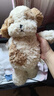 babycare静态玩偶西高地儿童毛绒玩具公仔生日圣诞礼物36cm送女友-马尔泰 实拍图