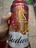 百威啤酒TOP淡色拉格450ml*18听整箱装京东自营新老包装混发618爆款 实拍图