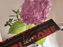 三角（Toblerone）瑞士黑巧克力含蜂蜜及巴旦木糖100g 休闲零食糖果送男女友礼物 实拍图