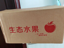 东北新鲜小国光苹果正宗老树国光苹果酸甜当季孕妇水果5/10斤包邮 9-9.5斤小果（带箱） 实拍图