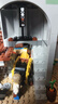乐高（LEGO）积木31168 中世纪骑士城堡男女孩儿童玩具生日礼物家居装饰摆件 实拍图