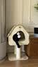 PETSTAR【树屋猫爬架】 猫窝一体小户型保暖实木不占地猫台磨爪猫玩具 实拍图