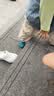 kids.ing可迪星宝宝凉鞋罗马果冻鞋夏季儿童男女童小童洞洞鞋软底 绿色 25 实拍图