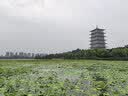 潜水艇（Submarine）三通接头 水管黄铜加厚活接三通一进二出4分龙头角阀分水器 活接三通分水器(4分一进二出) 实拍图