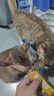 耐威克营养功能型主食猫条 成猫幼猫零食猫湿粮罐头 混合口味15g*9支 实拍图