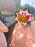 德玛纳（dme）【佩斯利印花】夏V领五分袖绑带X型伞裙a字连衣裙女中长款 实拍图