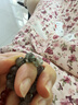 周大生【生日礼物】黄水晶紫水晶手串超七玛瑙绿幽灵送女友 实拍图