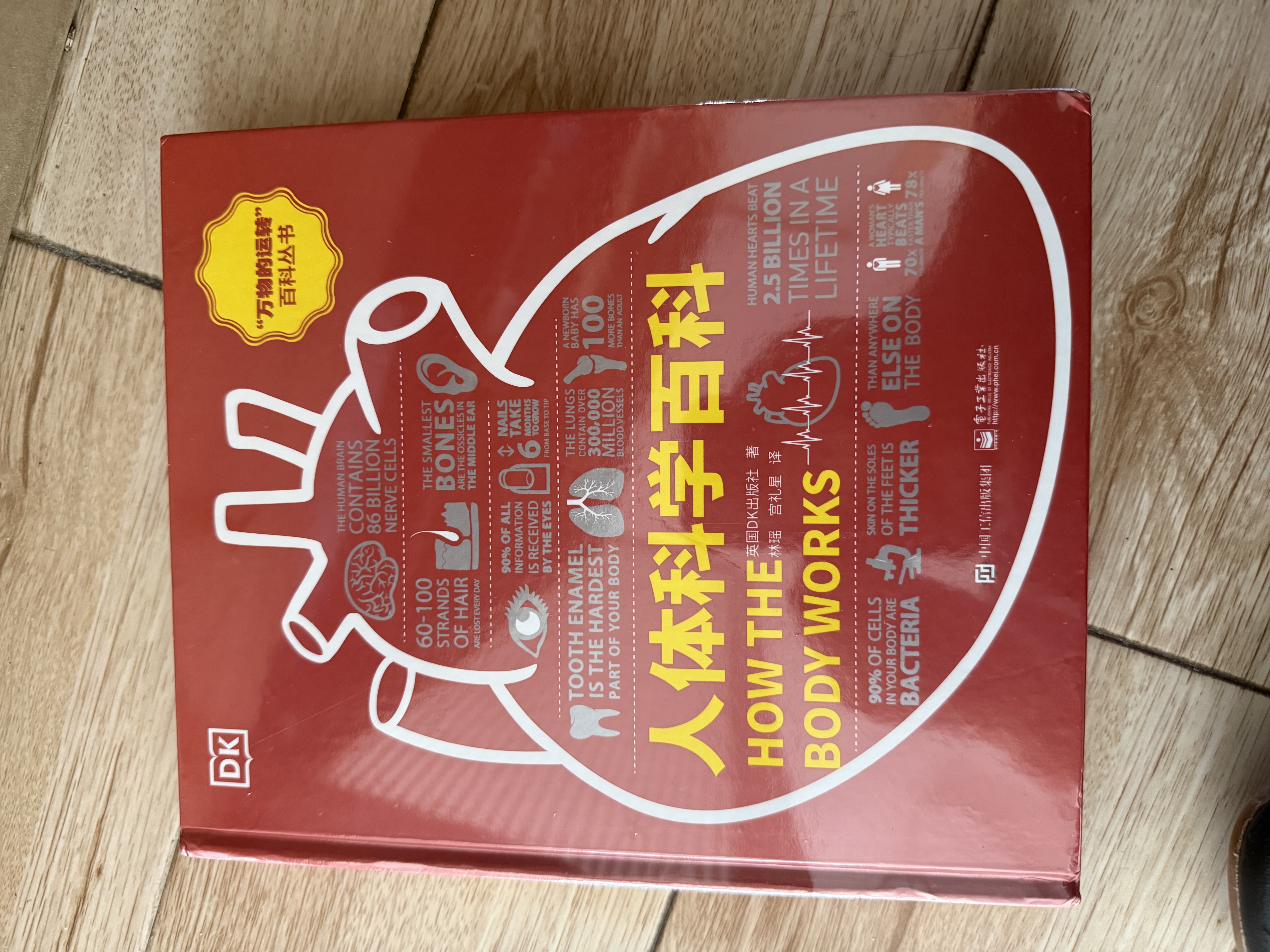 DK人体科学百科（全彩） 实拍图