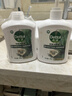 滴露（Dettol）洗手液液体经典松木500g+500g补充装儿童家庭护手替换 实拍图