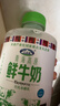 青海湖 鲜牛奶500ml 巴氏杀菌 早餐 营养 实拍图