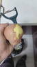 【爆款】削皮刀刮皮刀厨房多功能去皮刨皮刀瓜刨水果刀神器 削皮刀【1把】 实拍图